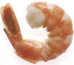 Shrimp Menu